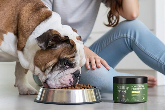 dog eating from a metal bowl