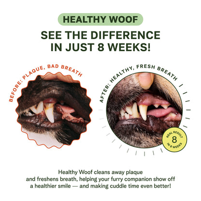 Dental Powder for Dogs - 120 Scoops